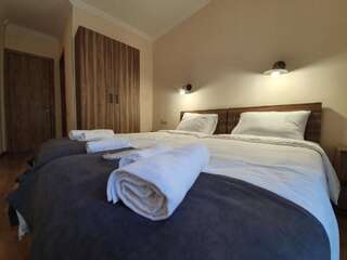 Отель Hotel Gold Kazbegi Степанцминда Стандартный двухместный номер с 2 отдельными кроватями-8