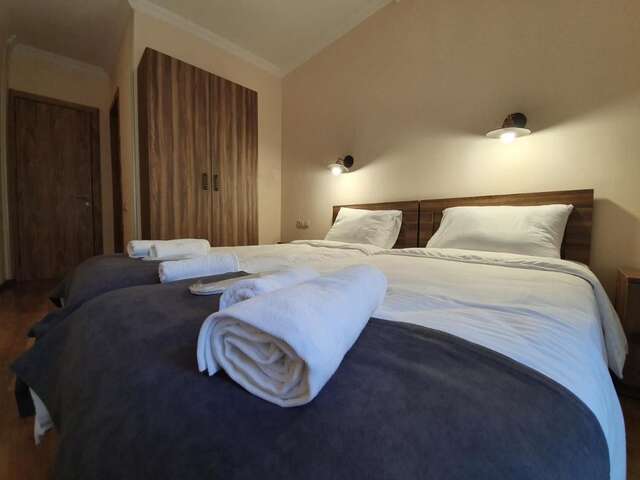 Отель Hotel Gold Kazbegi Степанцминда-26
