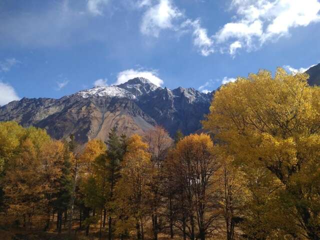 Отель Hotel Gold Kazbegi Степанцминда-6